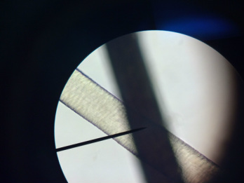 Personal Microscope Experience - Microscopy- Learning to use a national  microscope.